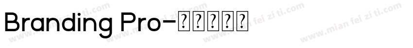 Branding Pro字体转换